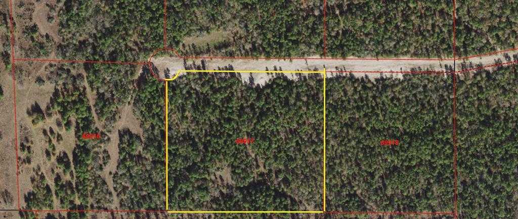 photo 3: Westview - 20 Acres, Huntsville TX 77320