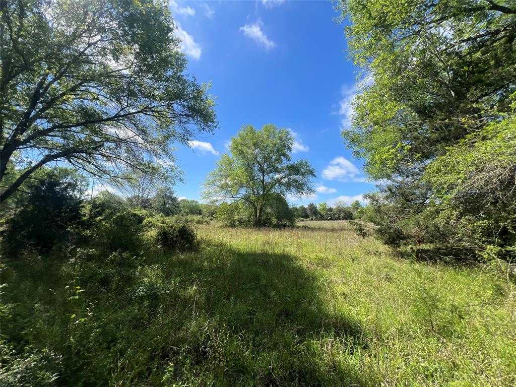 photo 2: 761 Meadow Bend Road, Bellville TX 77418