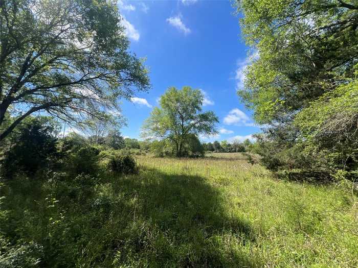 photo 2: 761 Meadow Bend Road, Bellville TX 77418