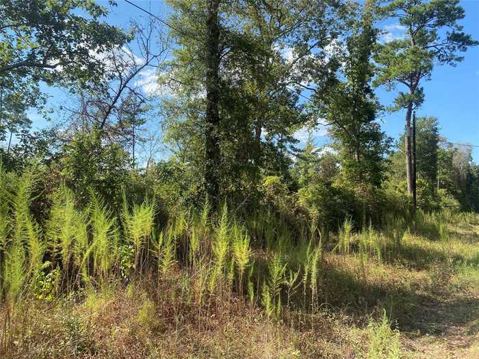 photo 2: Outlaw Bend RD Road, Rye TX 77369