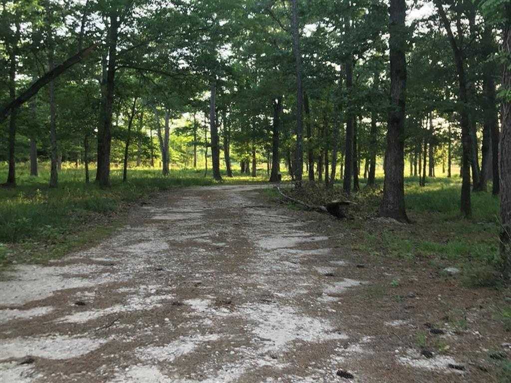 photo 1: County Road 2167 A, Cleveland TX 77327