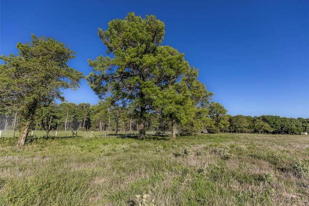 photo 3: 2 Nelius Road, Bellville TX 77418