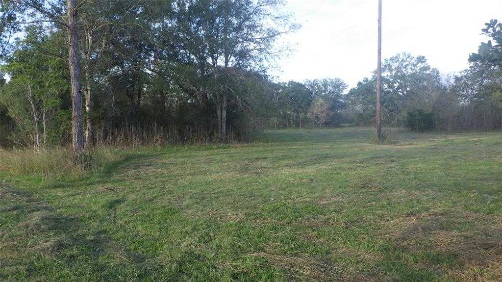 photo 1: 319 County Road 319, Brazoria TX 77422