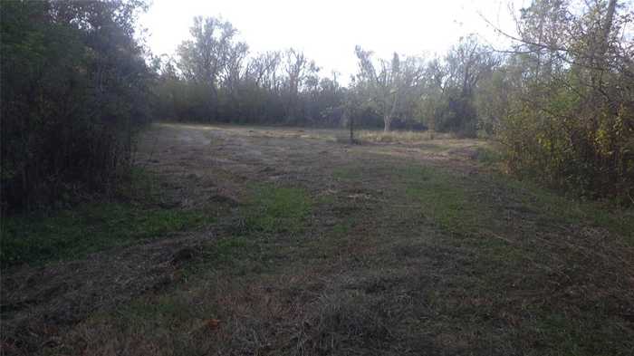 photo 2: 319 County Road 319, Brazoria TX 77422