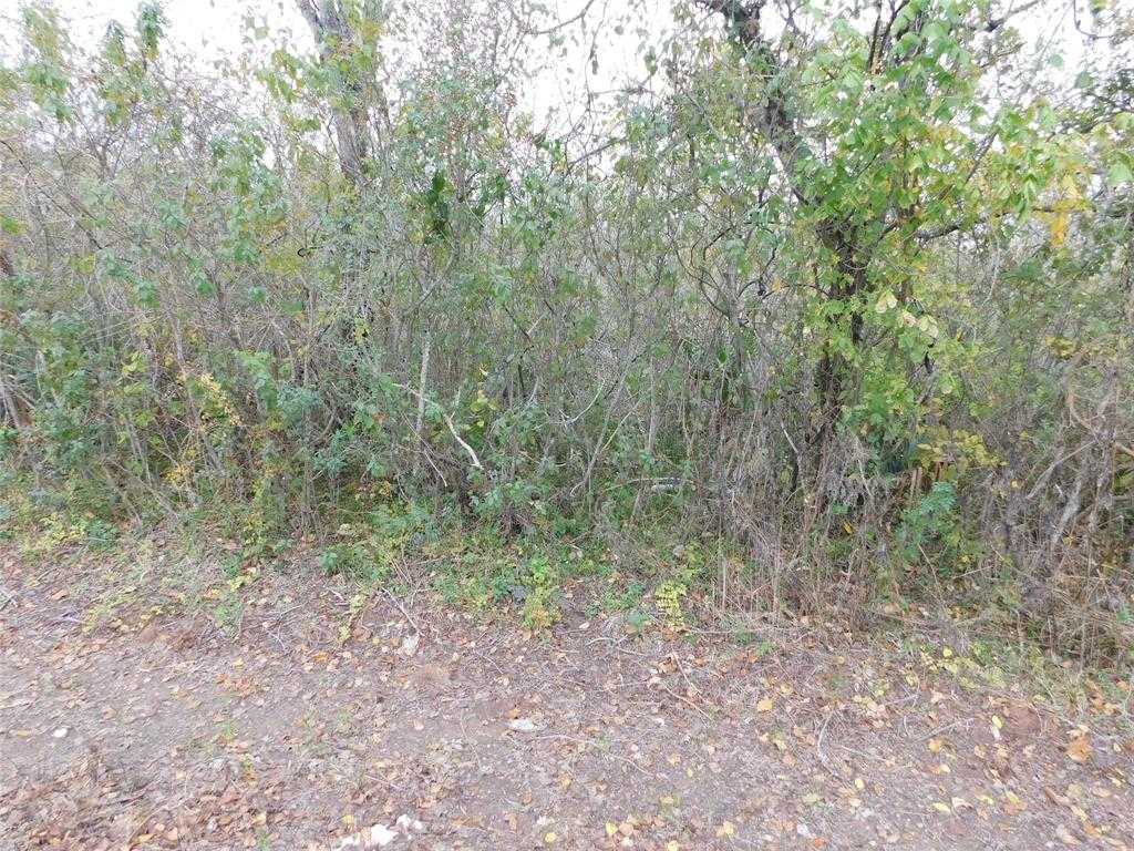 photo 1: 316 County Road, Brazoria TX 77422