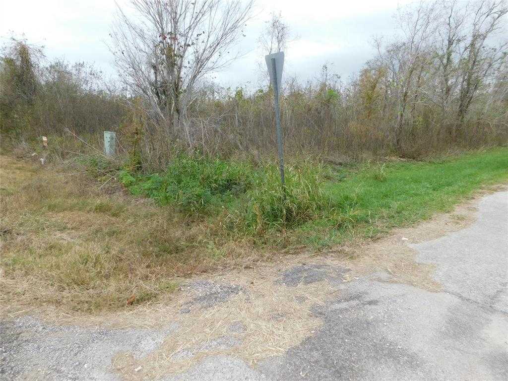 photo 3: 316 County Road, Brazoria TX 77422