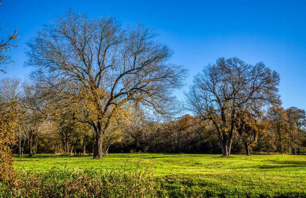 photo 1: 40407 Wildlife Run, Hempstead TX 77445