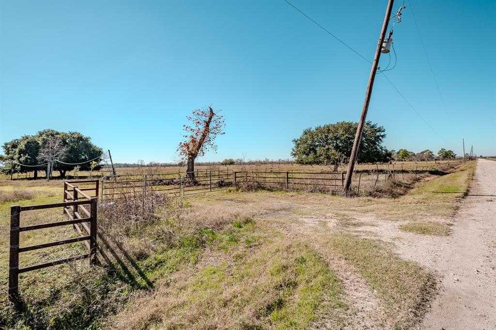 photo 3: County Road 605 Sawmill Road, Dayton TX 77535