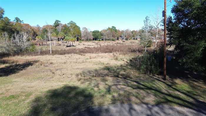 photo 2: Paw Paw Second Lot, Onalaska TX 77663