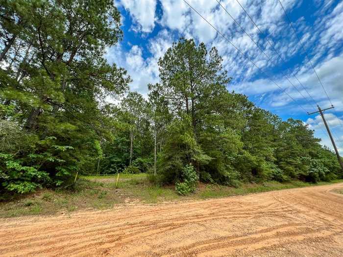 photo 1: Hickman Road, Corrigan TX 75939