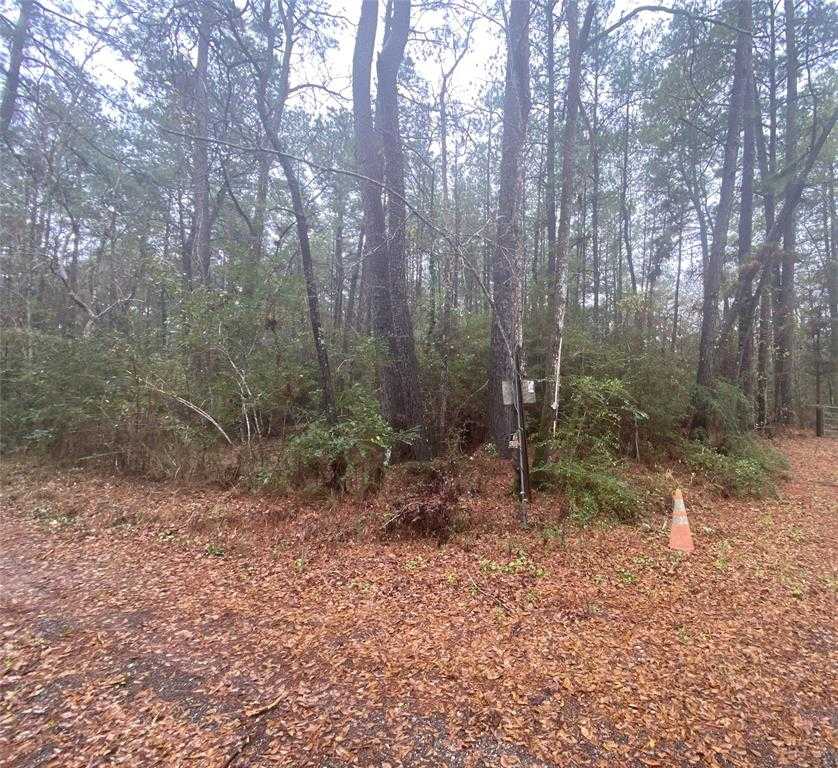 photo 1: Bradford Road, Coldspring TX 77331