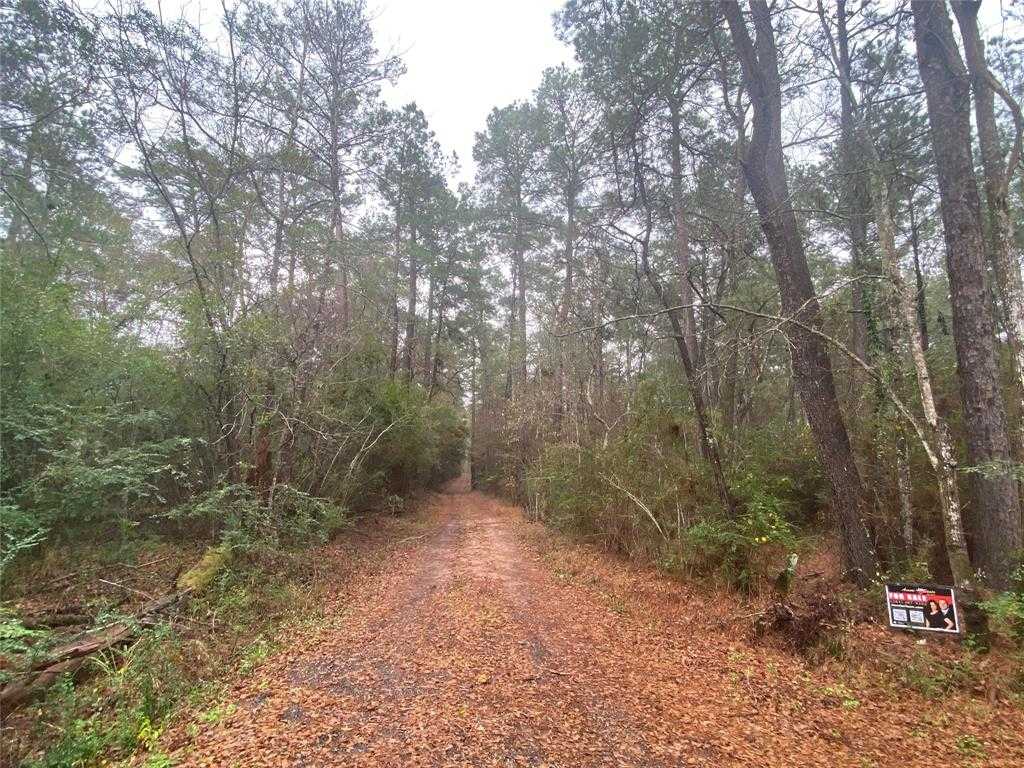 photo 2: Bradford Road, Coldspring TX 77331