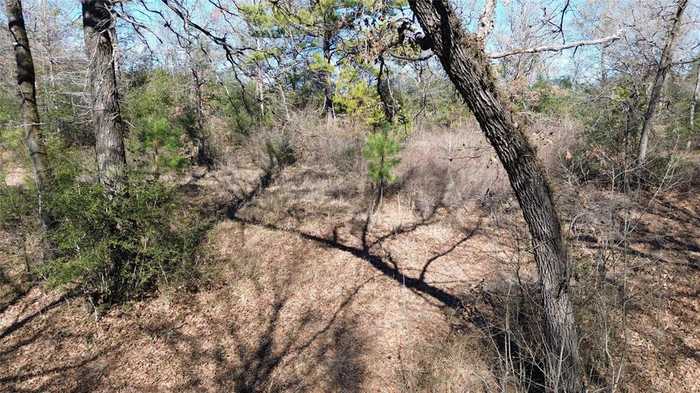 photo 15: Navarro Crossing Road, Grapeland TX 75844