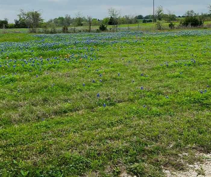 photo 1: 455 Century Farms Road, Burton TX 77835