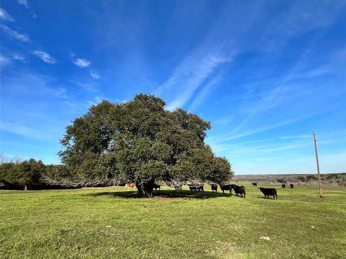 photo 1: 9785 Oil Field Road, Brenham TX 77833