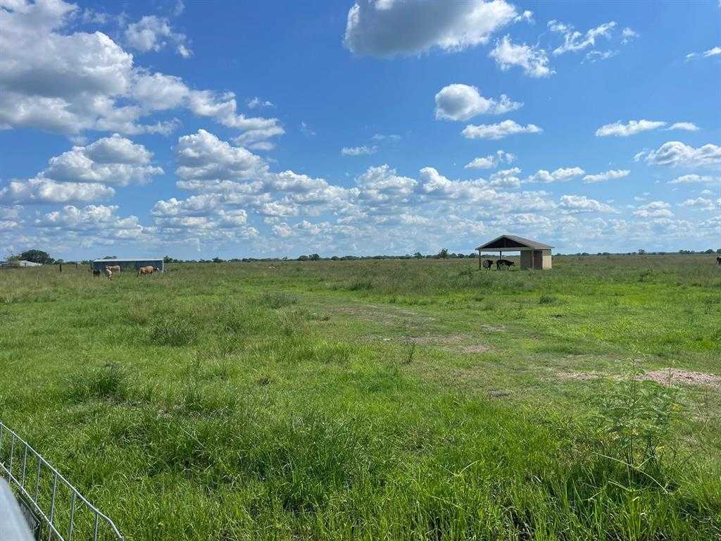 photo 2: 17002 Brumbelow Road, Needville TX 77461