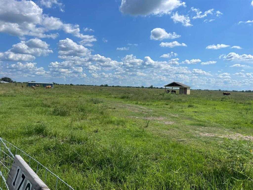 photo 3: 17002 Brumbelow Road, Needville TX 77461