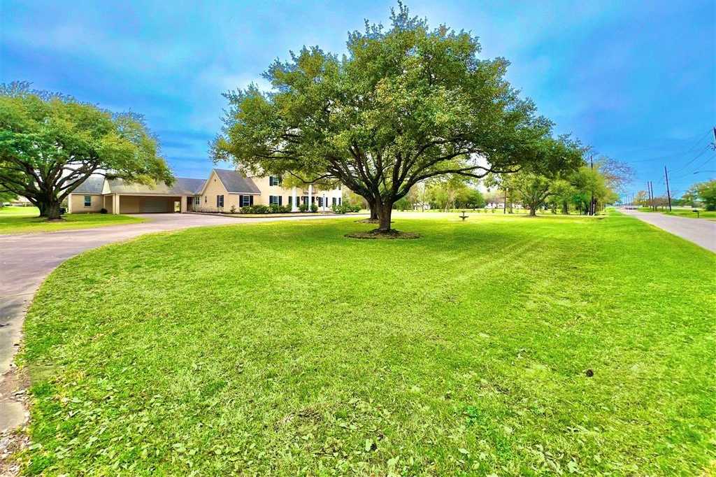 photo 3: 6007 Franz Road, Katy TX 77493