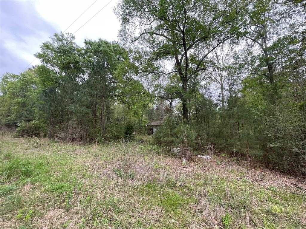 photo 3: 286 Maple Road, Corrigan TX 75939