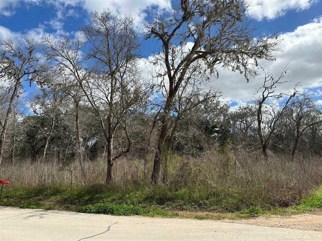 photo 1: Forest Loop, Angleton TX 77515