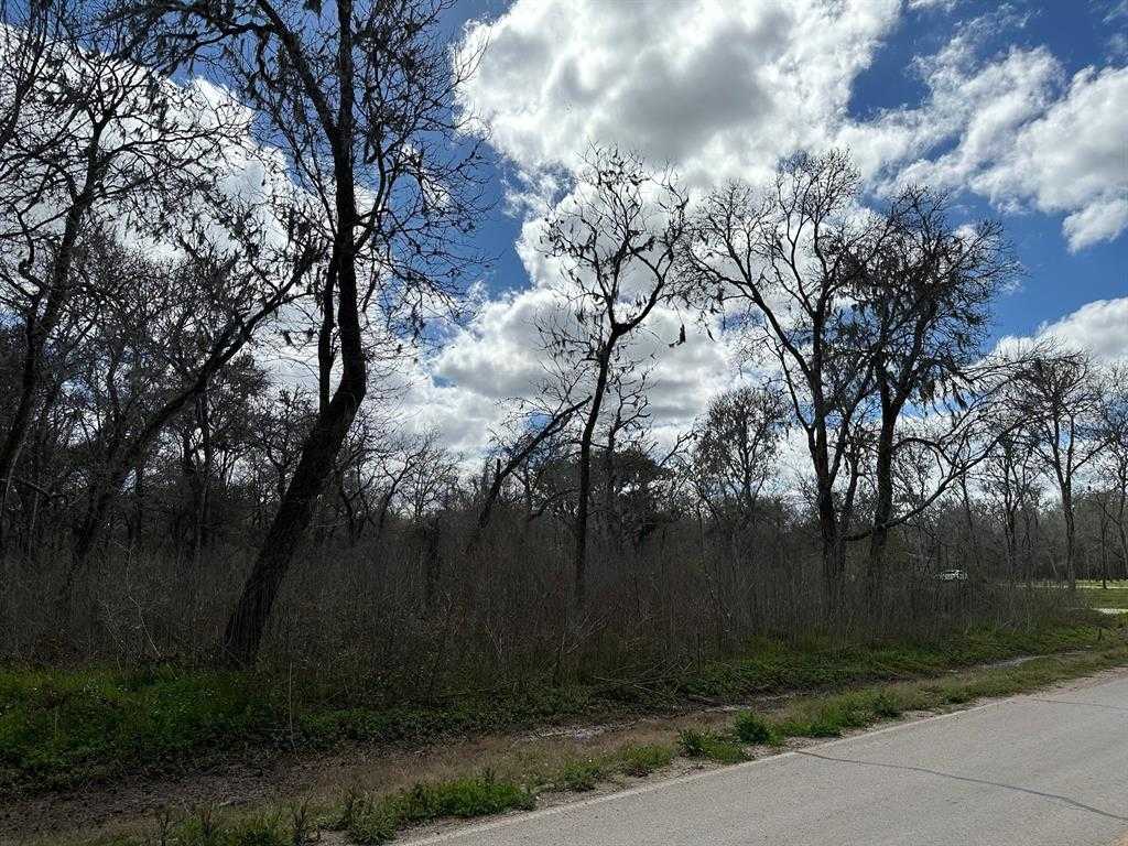 photo 2: Forest Loop, Angleton TX 77515