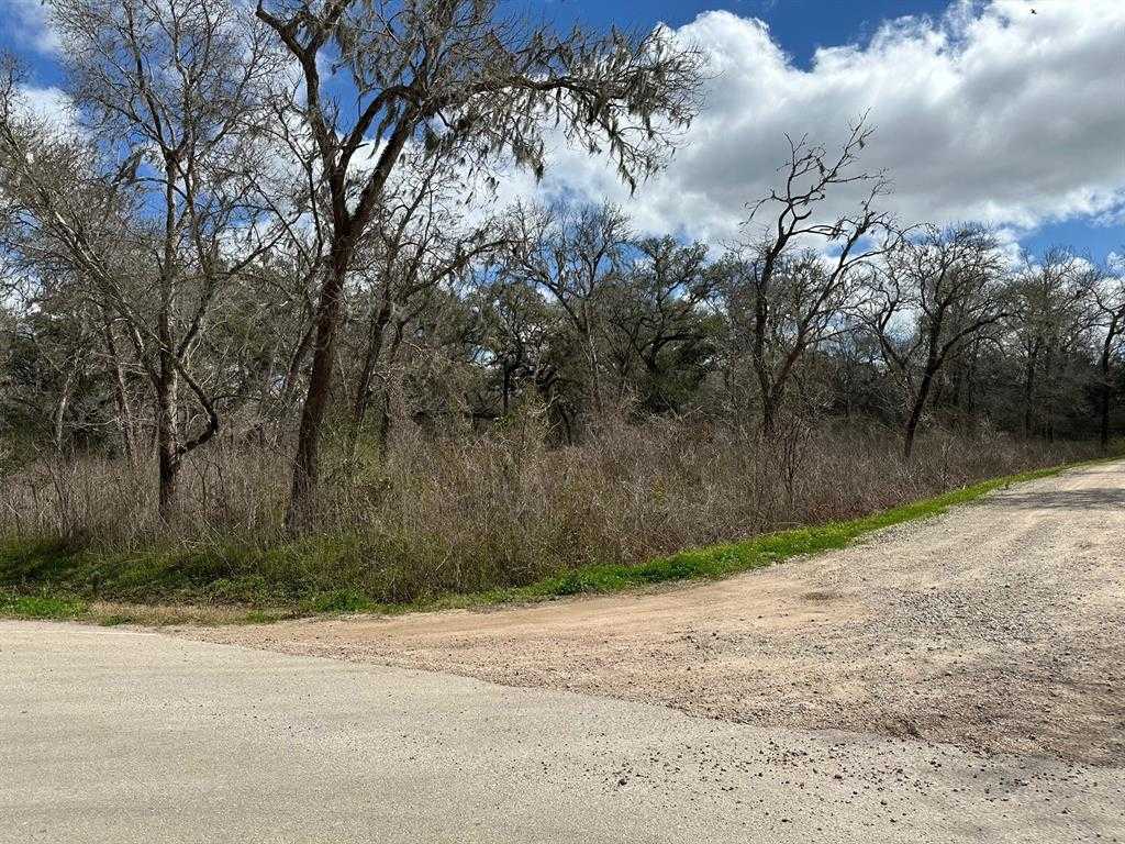 photo 3: Forest Loop, Angleton TX 77515