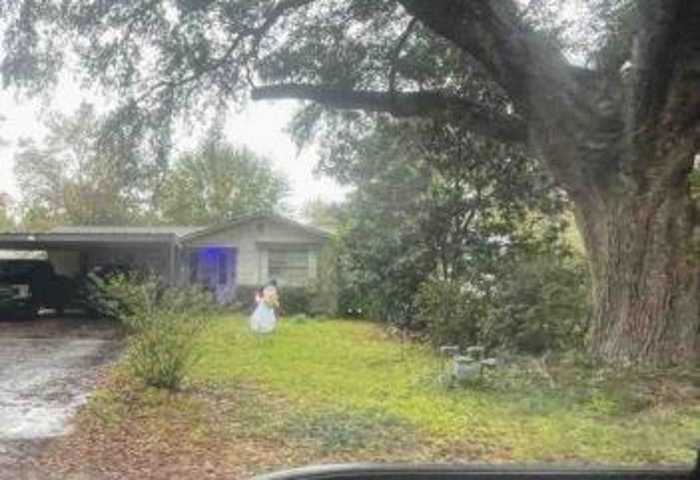 photo 2: 7681 Peacock Lane, Silsbee TX 77656