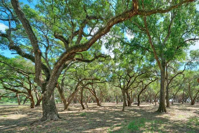 photo 2: Frantz Road, Cat Spring TX 78933