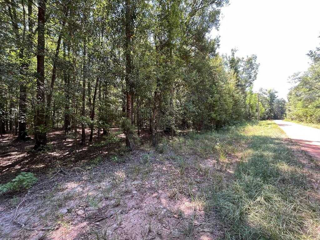 photo 2: Campbell Acres Road, Cleveland TX 77328