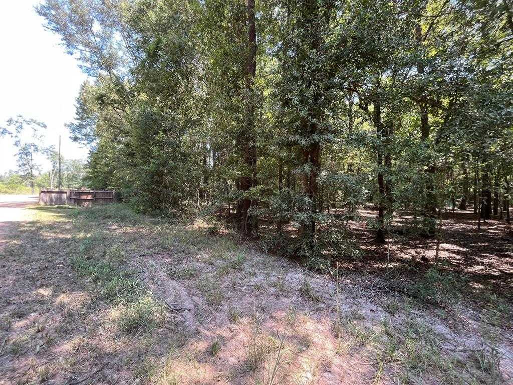 photo 3: Campbell Acres Road, Cleveland TX 77328