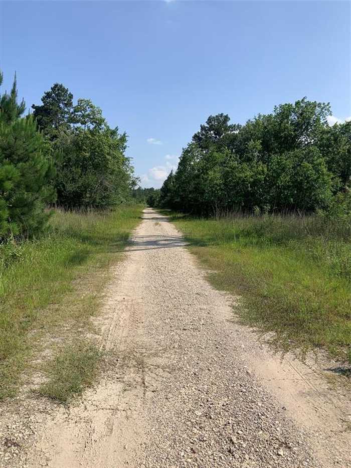 photo 2: Moonshine Hill Road, Houston TX 77338