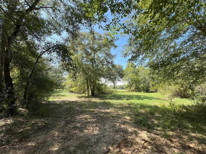 photo 18: 22970 Sharpwest Trail, Montgomery TX 77356