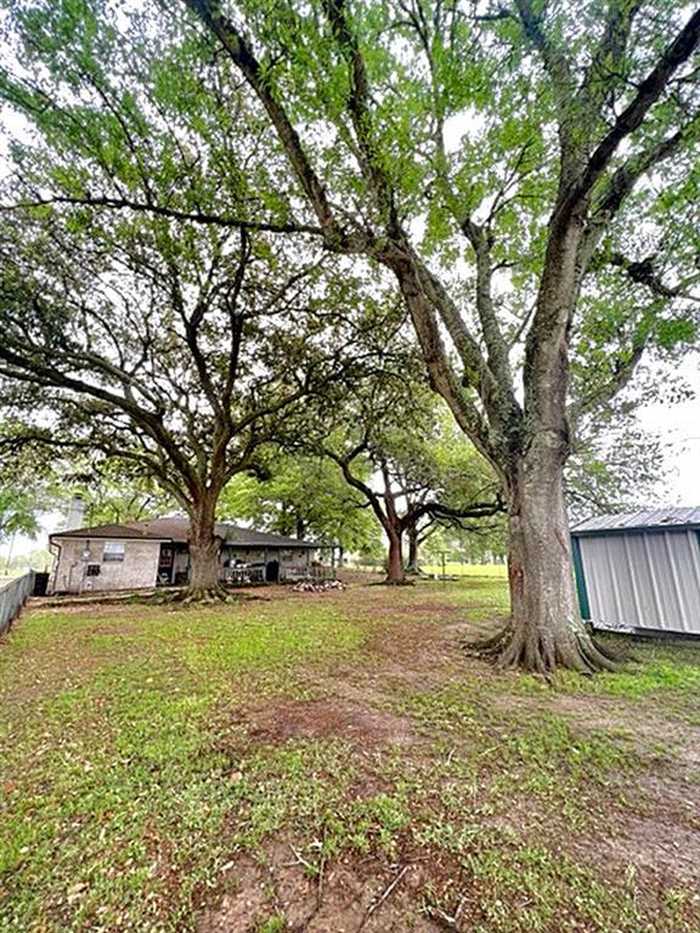 photo 2: 11270 Gaulding Road, Beaumont TX 77705