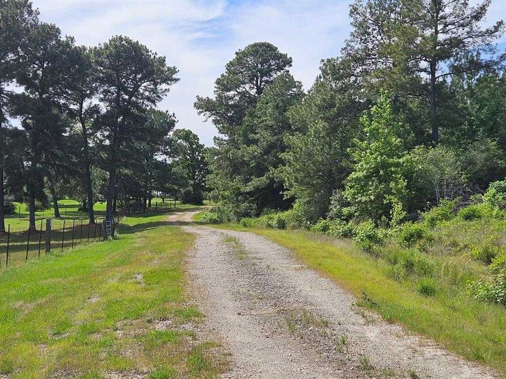 photo 1: Hollybrook Drive, Trinity TX 75862