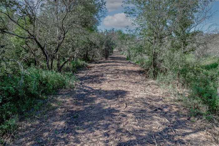 photo 16: Lisa Mae Road Road, Bellville TX 77418