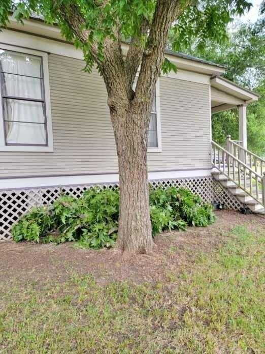 photo 2: 102 S Scott Street, Fayetteville TX 78940