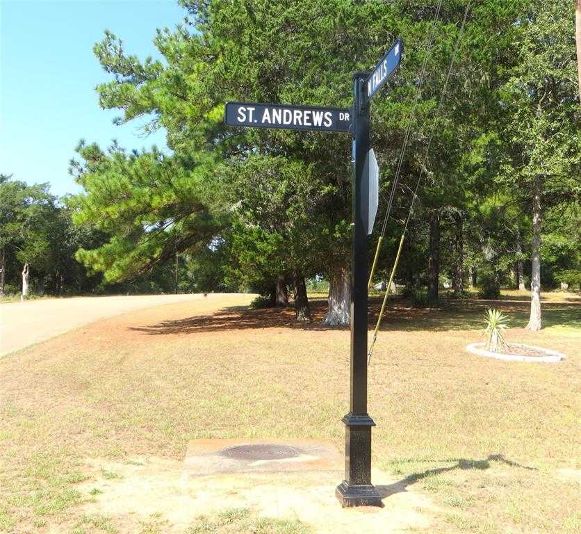 photo 2: Saint Andrews Drive, New Ulm TX 78950