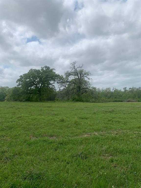 photo 3: 25572 Johnson Road, Montgomery TX 77356