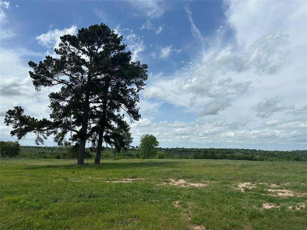 photo 1: 14322 FM 1155 Lot 6, Washington TX 77880