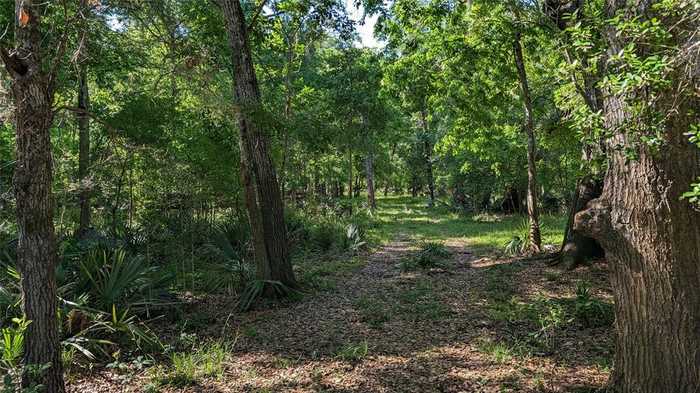 photo 2: Sawmill Road, Needville TX 77461