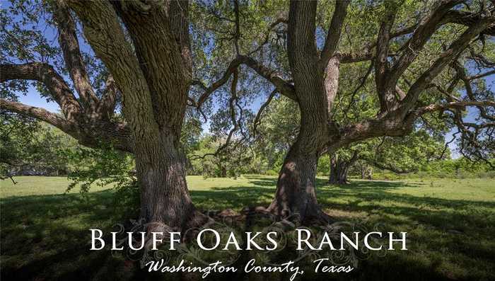 photo 1: 15140 Bluff Road, Washington TX 77880