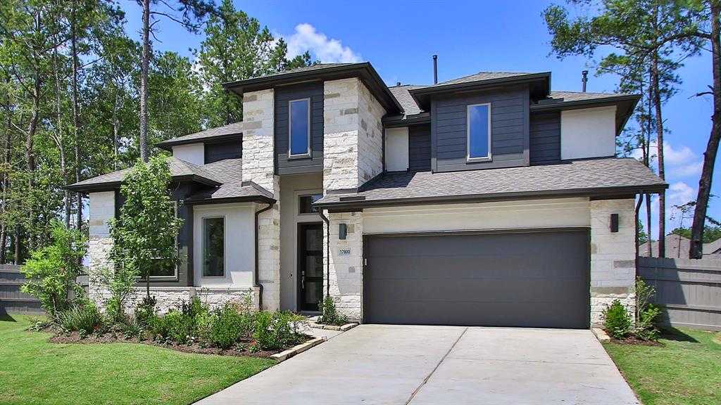 photo 1: 17800 Parnassum Path, Conroe TX 77302