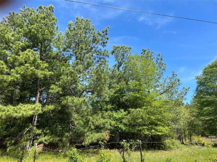 photo 11: 5 English Rd Road, Bedias TX 77831