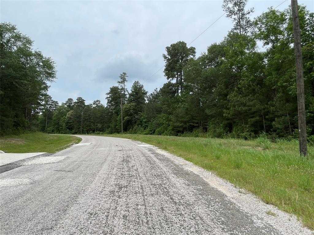 photo 3: Hereford Trail, Huntsville TX 77340