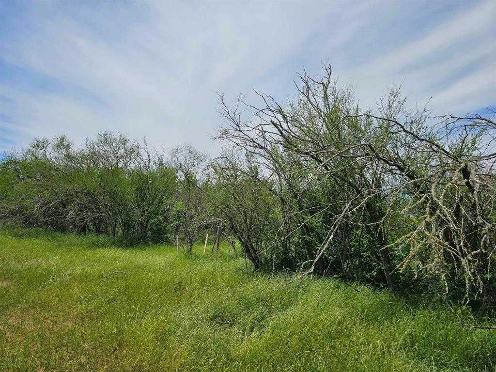 photo 3: 12693 Fm 359 Road, Hempstead TX 77445