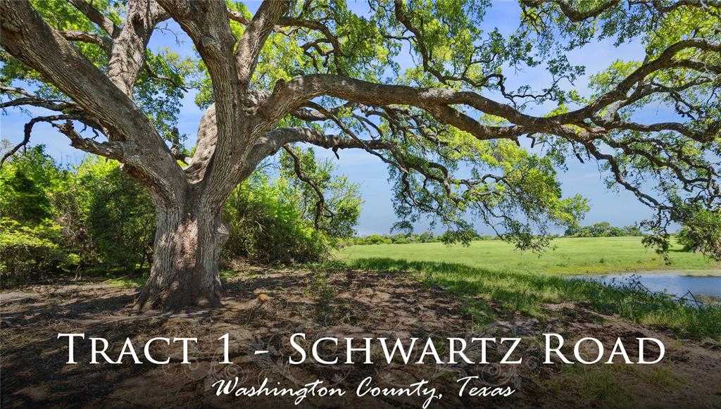 photo 1: 1 Schwartz Rd, Brenham TX 77833