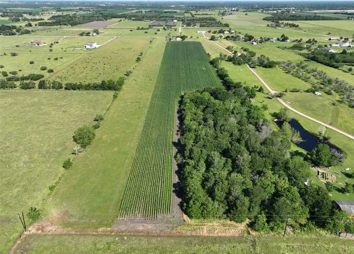 photo 2: 11614 Saha Road, Sealy TX 77474