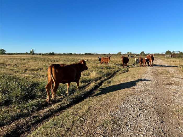 photo 3: 9 Eagle Rd, Anahuac TX 77514