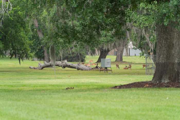 photo 47: 374 Cattle Drive Trail, Angleton TX 77515