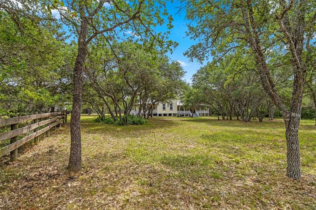 photo 3: 8535 Schuster Road, Nechanitz TX 78946